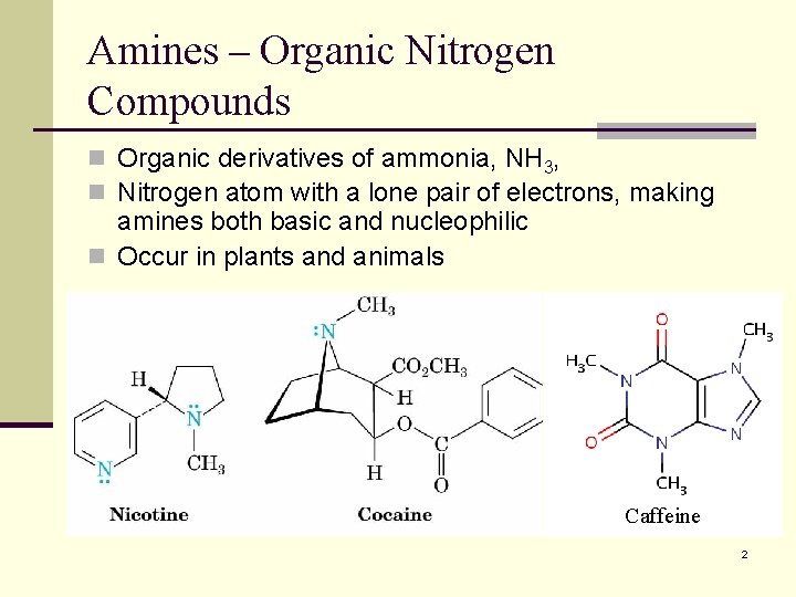 Amines – Organic Nitrogen Compounds n Organic derivatives of ammonia, NH 3, n Nitrogen
