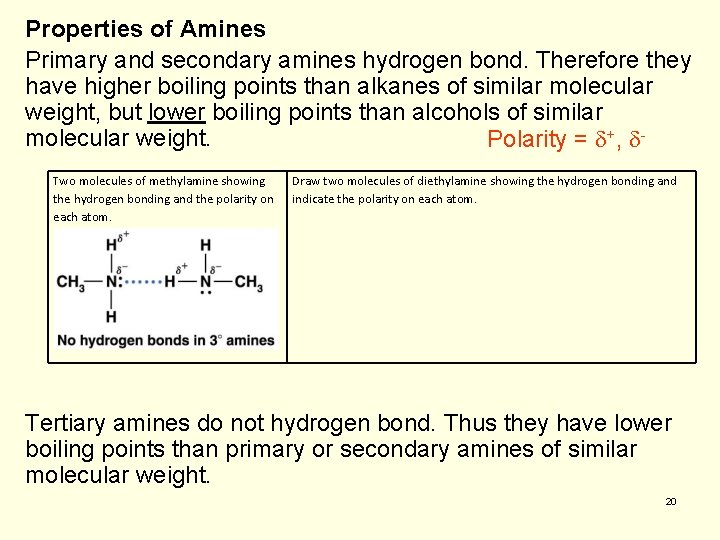 Properties of Amines Primary and secondary amines hydrogen bond. Therefore they have higher boiling