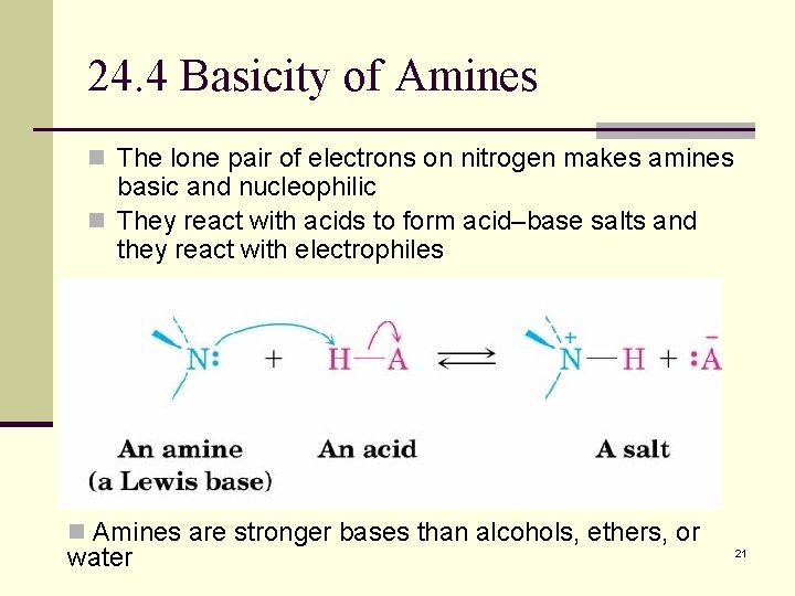 24. 4 Basicity of Amines n The lone pair of electrons on nitrogen makes