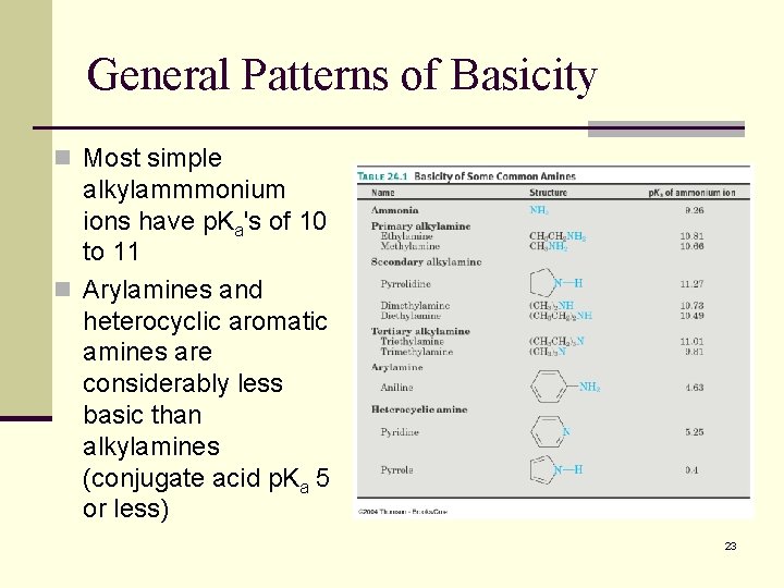 General Patterns of Basicity n Most simple alkylammmonium ions have p. Ka's of 10