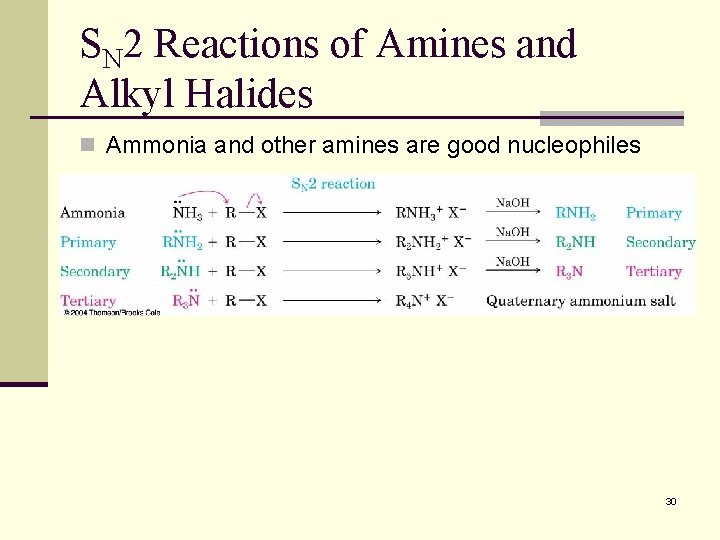 SN 2 Reactions of Amines and Alkyl Halides n Ammonia and other amines are