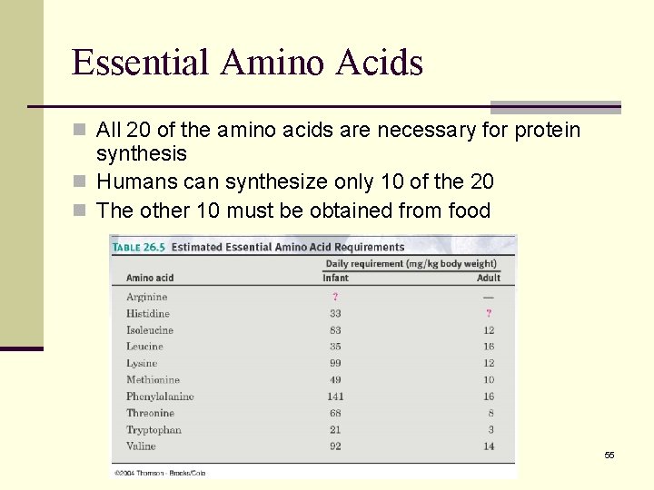 Essential Amino Acids n All 20 of the amino acids are necessary for protein