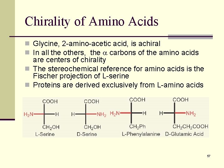 Chirality of Amino Acids n Glycine, 2 -amino-acetic acid, is achiral n In all