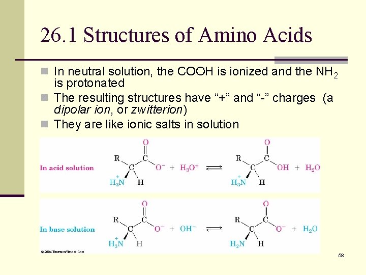 26. 1 Structures of Amino Acids n In neutral solution, the COOH is ionized