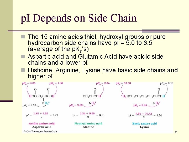 p. I Depends on Side Chain n The 15 amino acids thiol, hydroxyl groups