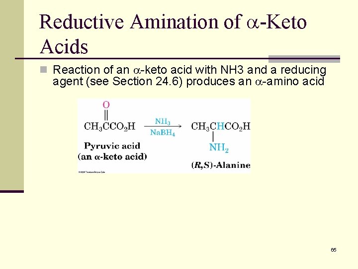 Reductive Amination of -Keto Acids n Reaction of an -keto acid with NH 3
