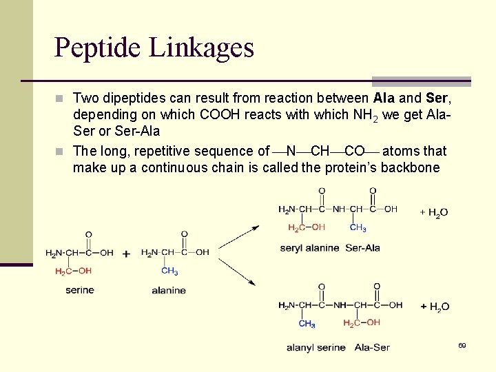 Peptide Linkages n Two dipeptides can result from reaction between Ala and Ser, depending