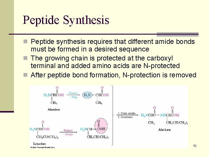 Peptide Synthesis n Peptide synthesis requires that different amide bonds must be formed in