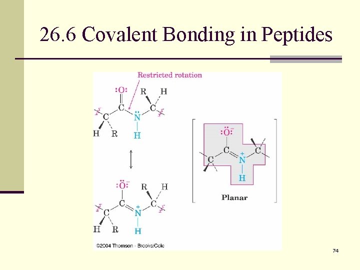 26. 6 Covalent Bonding in Peptides 74 