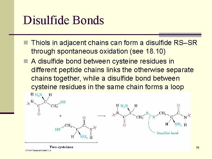 Disulfide Bonds n Thiols in adjacent chains can form a disulfide RS–SR through spontaneous