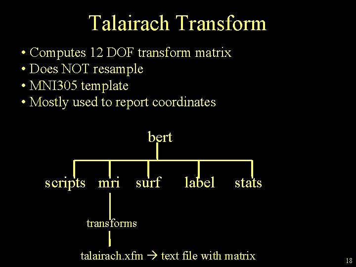 Talairach Transform • Computes 12 DOF transform matrix • Does NOT resample • MNI