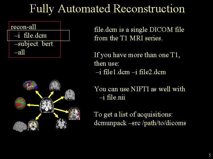 Fully Automated Reconstruction recon-all –i file. dcm –subject bert –all file. dcm is a