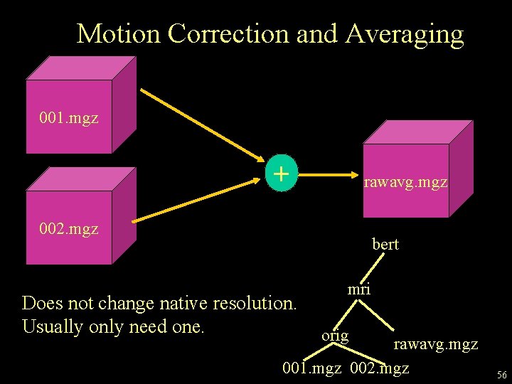 Motion Correction and Averaging 001. mgz + rawavg. mgz 002. mgz bert Does not