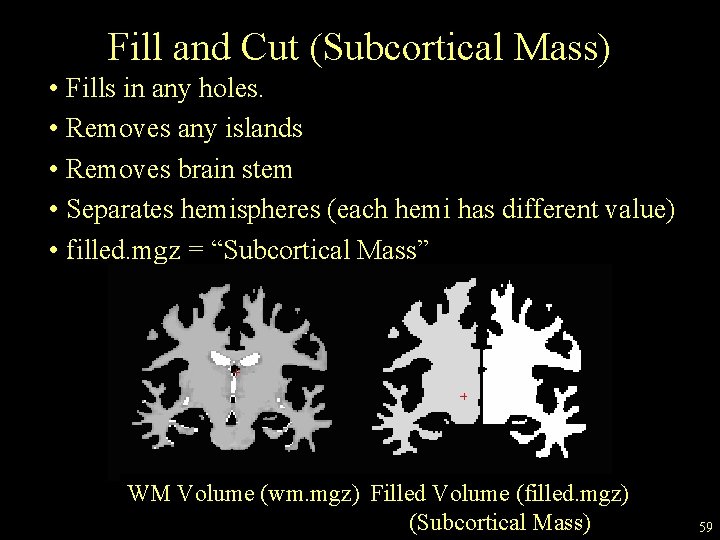 Fill and Cut (Subcortical Mass) • Fills in any holes. • Removes any islands