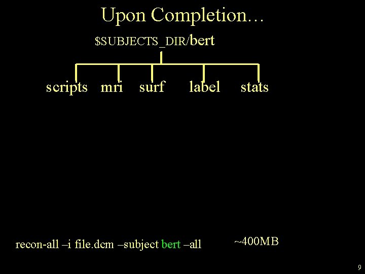 Upon Completion… $SUBJECTS_DIR/bert scripts mri surf label recon-all –i file. dcm –subject bert –all
