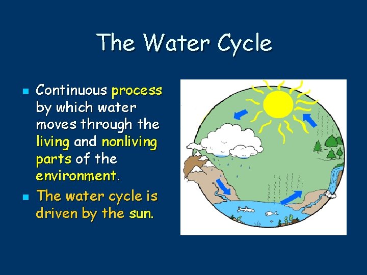 The Water Cycle n n Continuous process by which water moves through the living