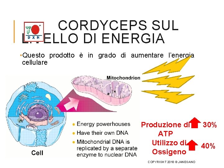 CORDYCEPS SUL LIVELLO DI ENERGIA • Questo prodotto è in grado di aumentare l’energia