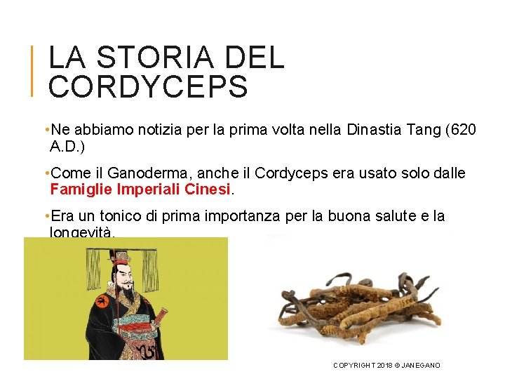 LA STORIA DEL CORDYCEPS • Ne abbiamo notizia per la prima volta nella Dinastia