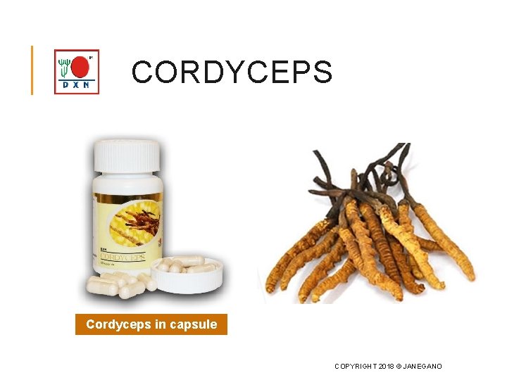 CORDYCEPS Cordyceps in capsule COPYRIGHT 2018 © JANEGANO 