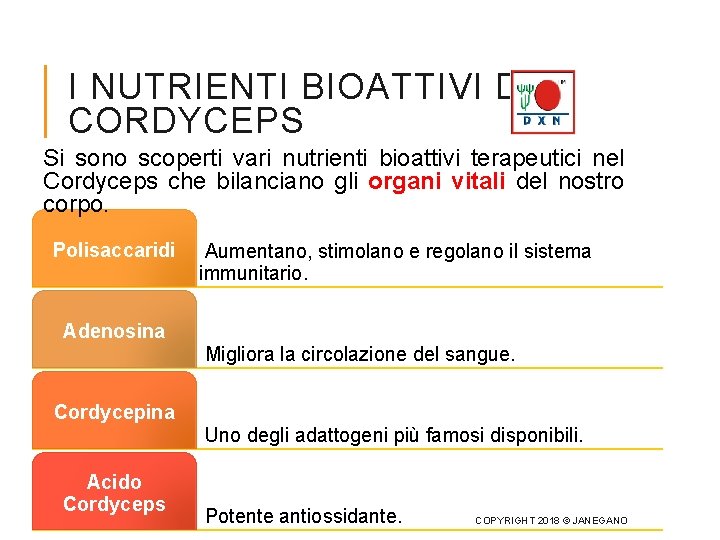 I NUTRIENTI BIOATTIVI DEL CORDYCEPS Si sono scoperti vari nutrienti bioattivi terapeutici nel Cordyceps