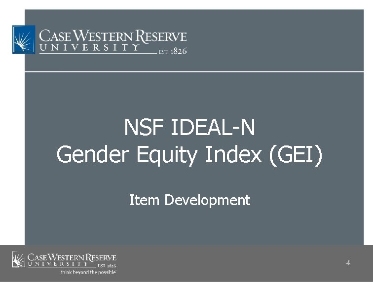 NSF IDEAL-N Gender Equity Index (GEI) Item Development 4 