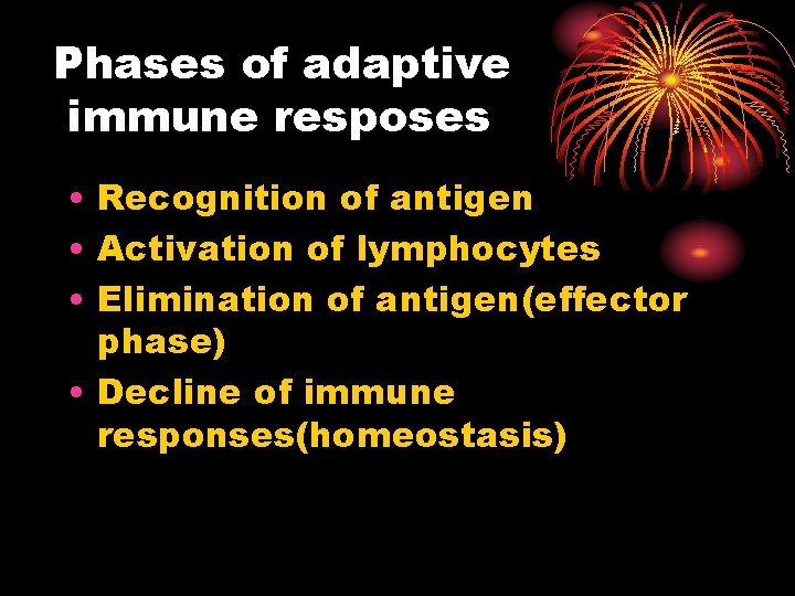 Phases of adaptive immune resposes • Recognition of antigen • Activation of lymphocytes •