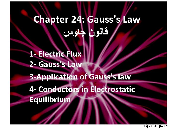 Chapter 24: Gauss’s Law ﻗﺎﻧﻮﻥ ﺟﺎﻭﺱ 1 - Electric Flux 2 - Gauss’s Law