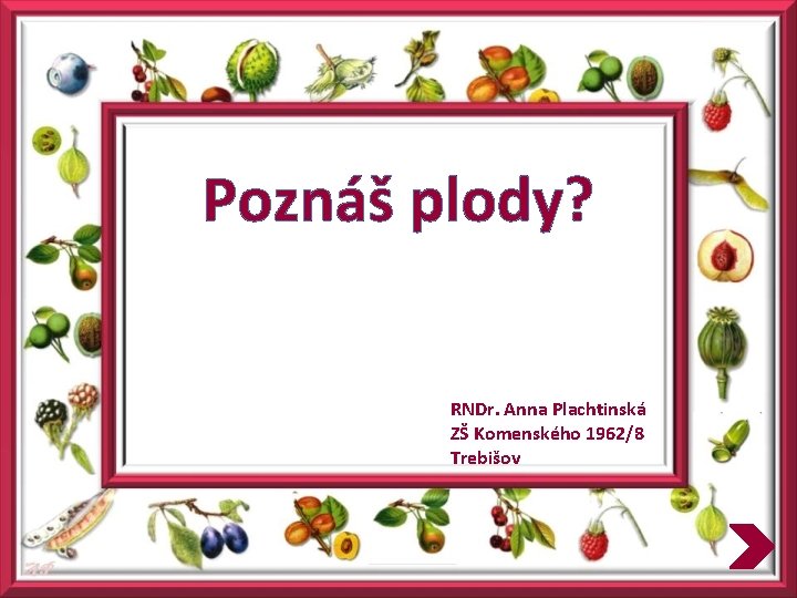 Poznáš plody? RNDr. Anna Plachtinská ZŠ Komenského 1962/8 Trebišov 