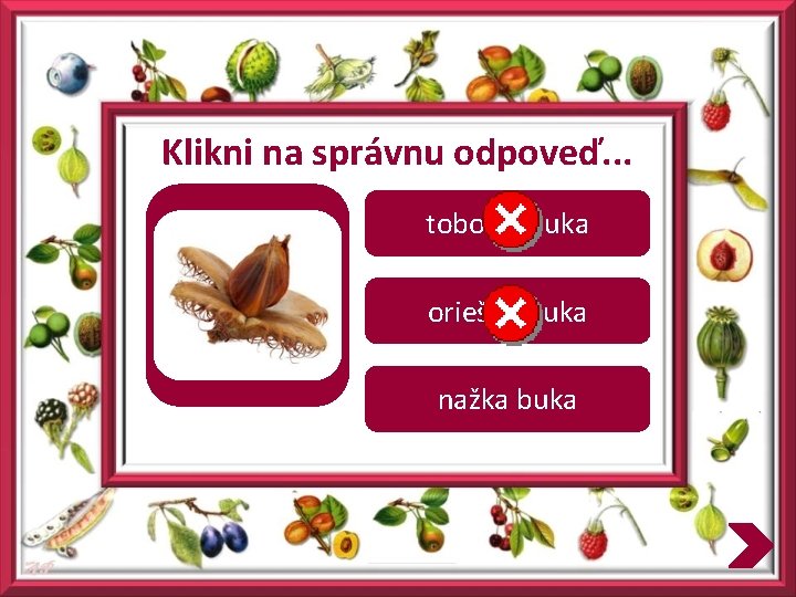 Klikni na správnu odpoveď. . . tobolka buka oriešok buka nažka buka 