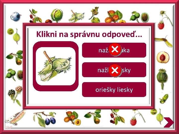 Klikni na správnu odpoveď. . . nažky buka nažky liesky oriešky liesky 