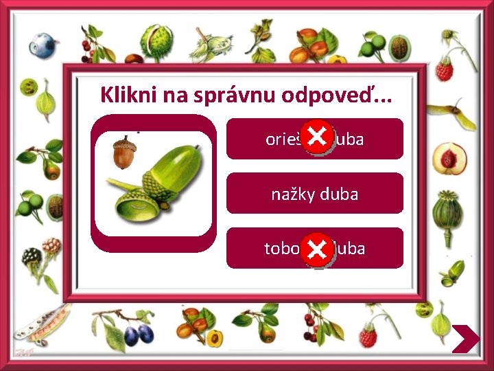 Klikni na správnu odpoveď. . . oriešky duba nažky duba tobolky duba 