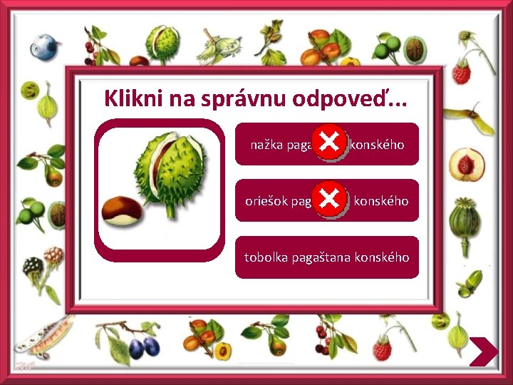 Klikni na správnu odpoveď. . . nažka pagaštana konského oriešok pagaštana konského tobolka pagaštana