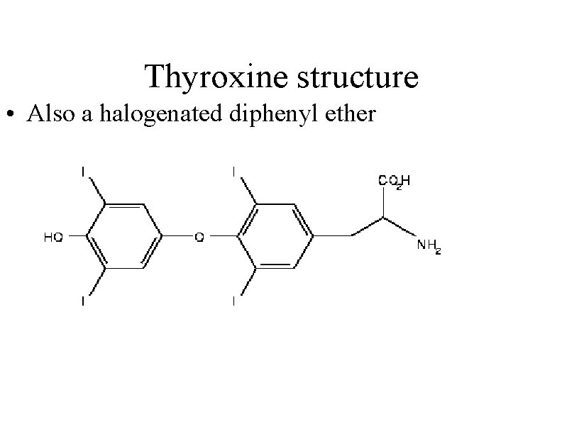 Thyroxine structure • Also a halogenated diphenyl ether 