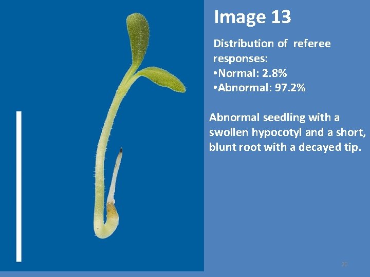 Image 13 Distribution of referee responses: • Normal: 2. 8% • Abnormal: 97. 2%