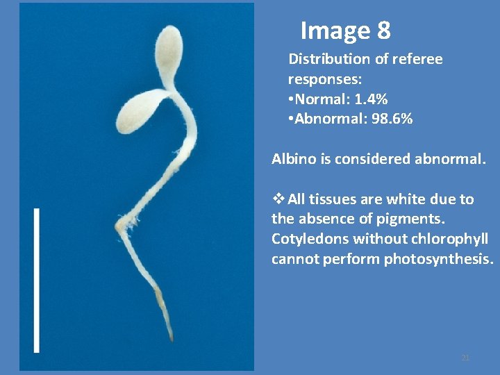 Image 8 Distribution of referee responses: • Normal: 1. 4% • Abnormal: 98. 6%