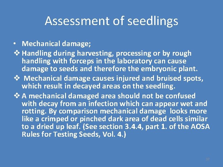 Assessment of seedlings • Mechanical damage; v Handling during harvesting, processing or by rough