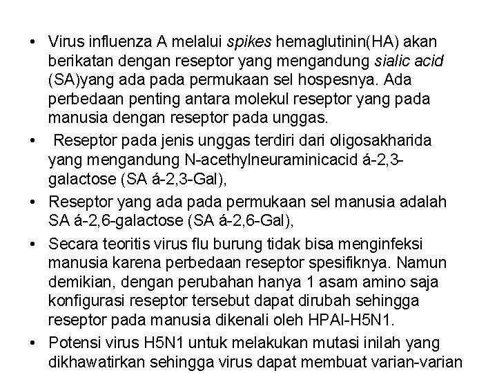  • Virus influenza A melalui spikes hemaglutinin(HA) akan berikatan dengan reseptor yang mengandung