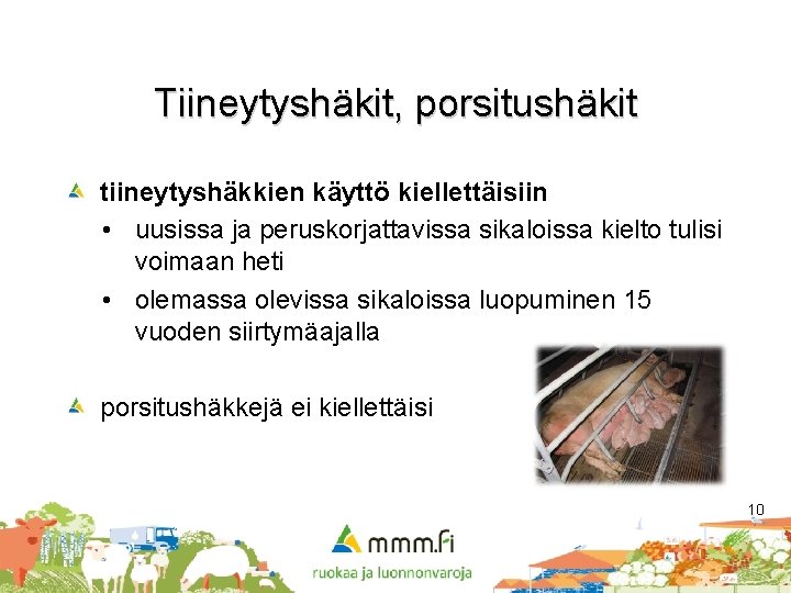 Tiineytyshäkit, porsitushäkit tiineytyshäkkien käyttö kiellettäisiin • uusissa ja peruskorjattavissa sikaloissa kielto tulisi voimaan heti