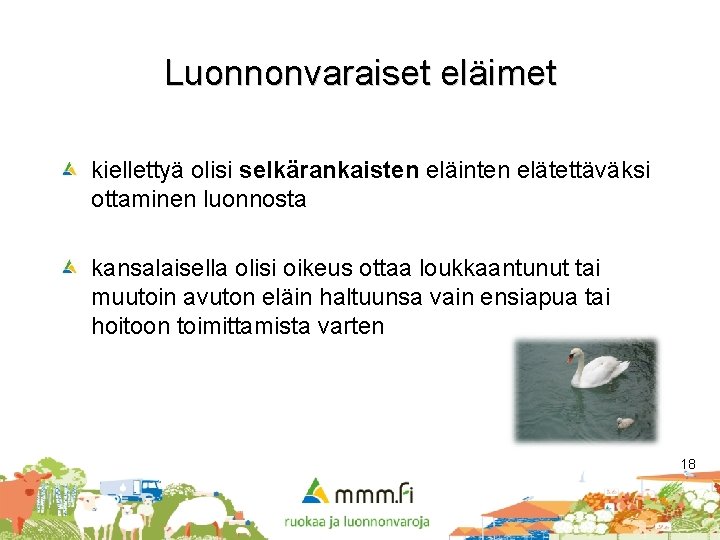 Luonnonvaraiset eläimet kiellettyä olisi selkärankaisten eläinten elätettäväksi ottaminen luonnosta kansalaisella olisi oikeus ottaa loukkaantunut