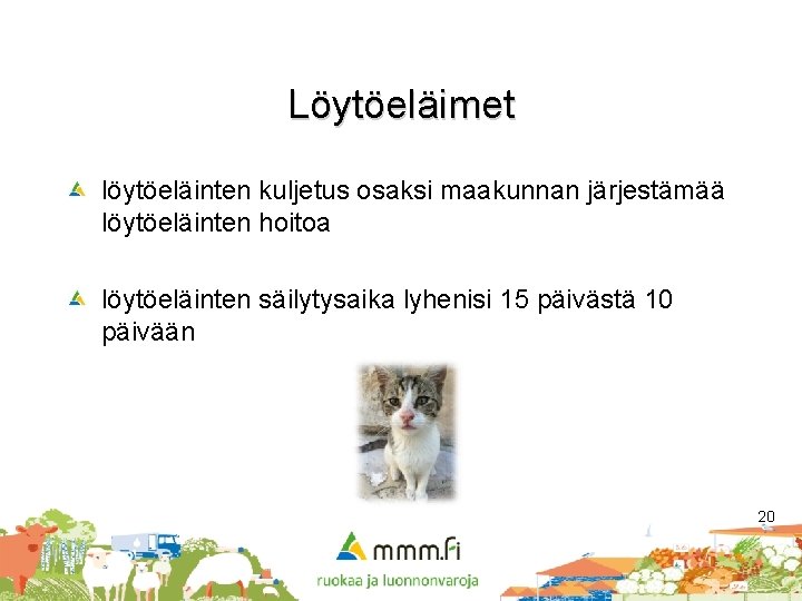 Löytöeläimet löytöeläinten kuljetus osaksi maakunnan järjestämää löytöeläinten hoitoa löytöeläinten säilytysaika lyhenisi 15 päivästä 10