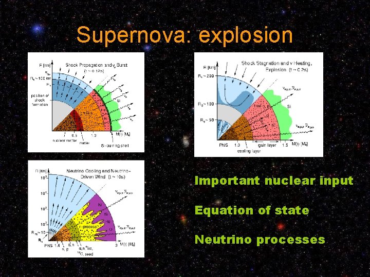 Supernova: explosion Important nuclear input Equation of state Neutrino processes 