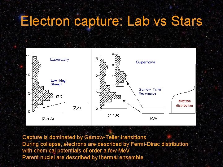 Electron capture: Lab vs Stars Capture is dominated by Gamow-Teller transitions During collapse, electrons