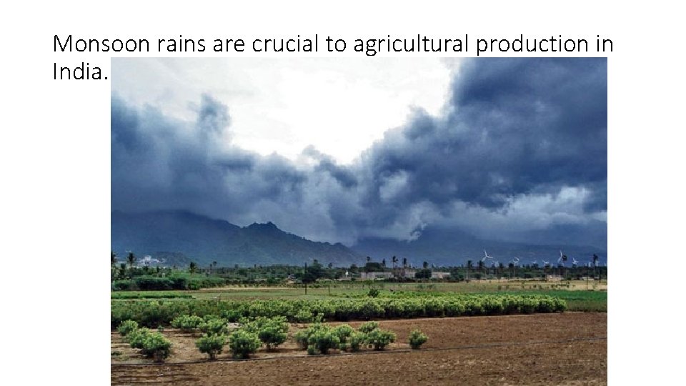 Monsoon rains are crucial to agricultural production in India. 