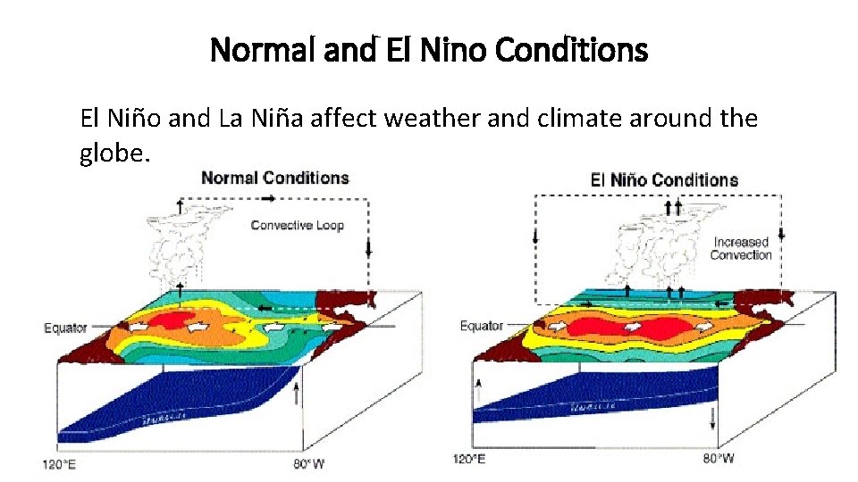 Normal and El Nino Conditions El Niño and La Niña affect weather and climate