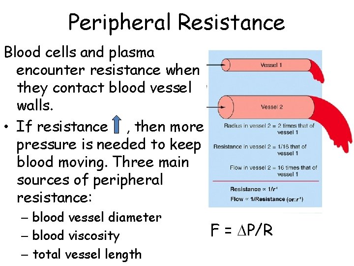 Peripheral Resistance Blood cells and plasma encounter resistance when they contact blood vessel walls.