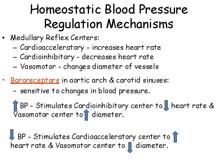 Homeostatic Blood Pressure Regulation Mechanisms • Medullary Reflex Centers: – Cardioacceleratory - increases heart