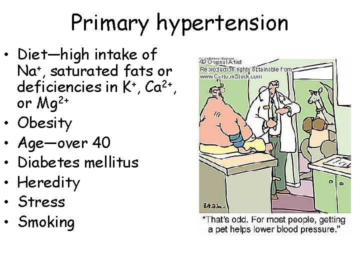 Primary hypertension • Diet—high intake of Na+, saturated fats or deficiencies in K+, Ca