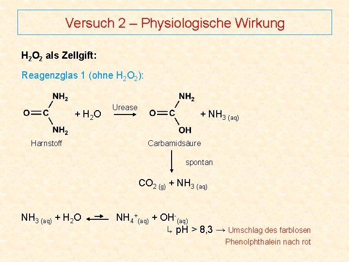 Versuch 2 – Physiologische Wirkung H 2 O 2 als Zellgift: Reagenzglas 1 (ohne