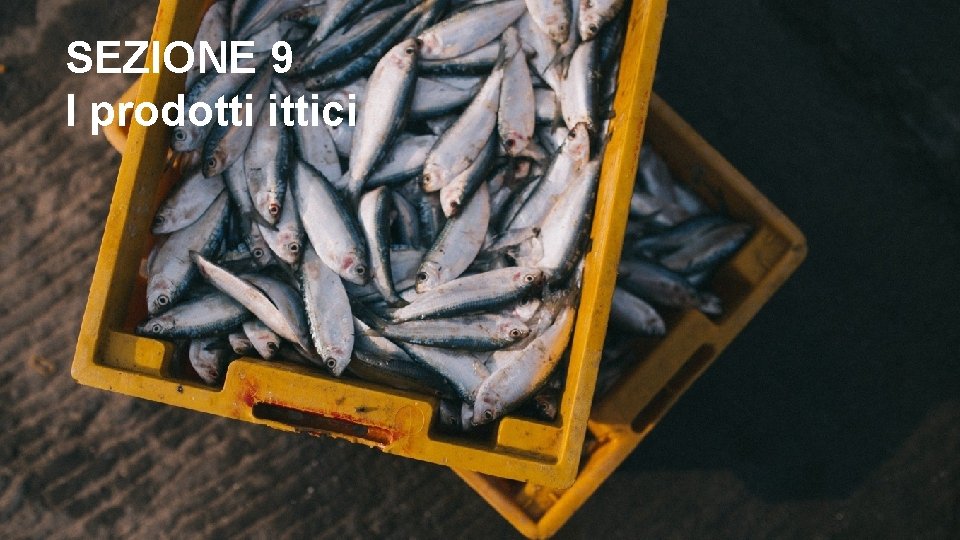SEZIONE 9 I prodotti ittici 
