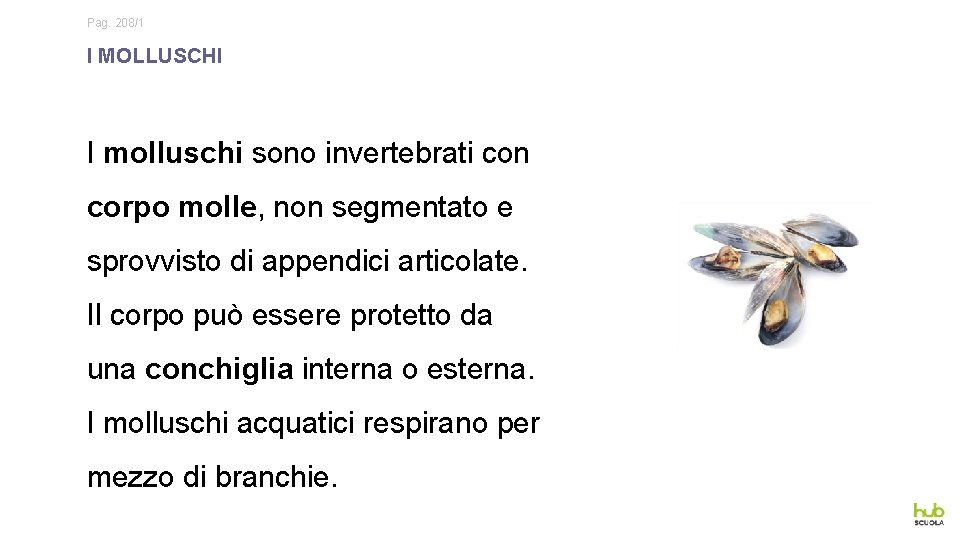 Pag. 208/1 I MOLLUSCHI I molluschi sono invertebrati con corpo molle, non segmentato e